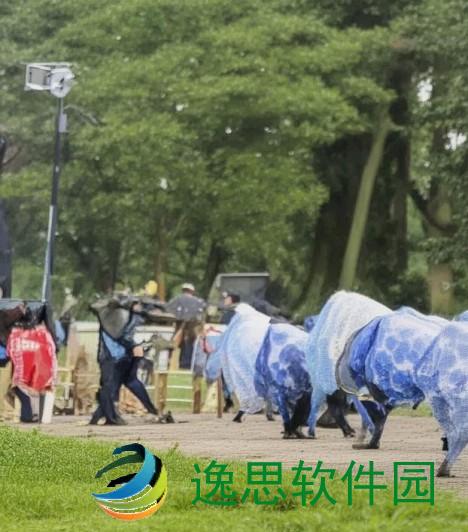 解决502 Bad Gateway错误的有效方法与技巧分享