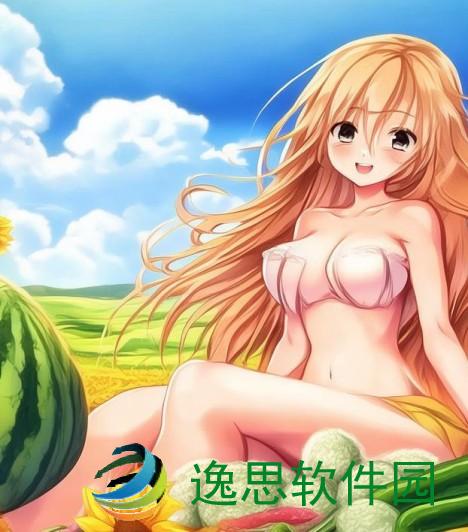 向日葵与西瓜黄瓜丝瓜葫芦的丰收盛宴与夏日清凉之旅