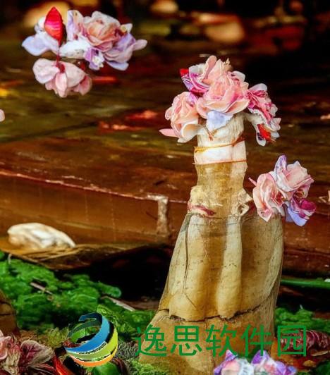 电动木马上旋转木马的正确使用方法与注意事项解析