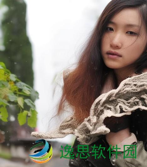 冰结师的流派选择与技能搭配探讨之道
