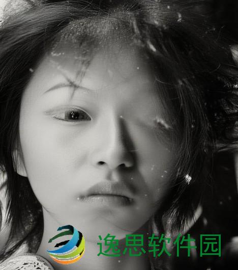 师姐的温柔呼唤在心间荡漾免费阅读小说的甜蜜旅程
