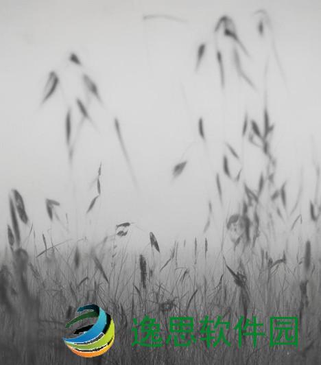 伽罗解说视频新体验 带你领略不一样的精彩内容与乐趣