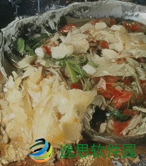 娜英资料-娜英个人资料揭秘 她的音乐之路与成长故事全解析