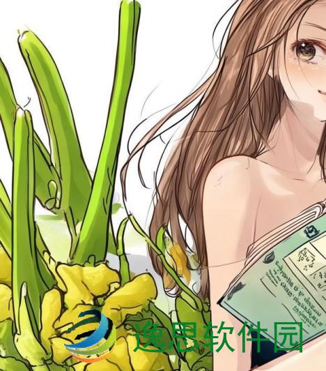 秋葵与丝瓜同食是否会相克探讨与健康影响分析