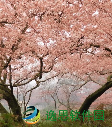 年轻人热爱B站的原因探秘多元内容与社区氛围的魅力