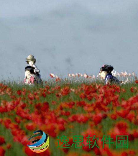 梦泪头像,梦泪头像背后的故事与传奇，探索他在游戏世界中的辉煌与挑战