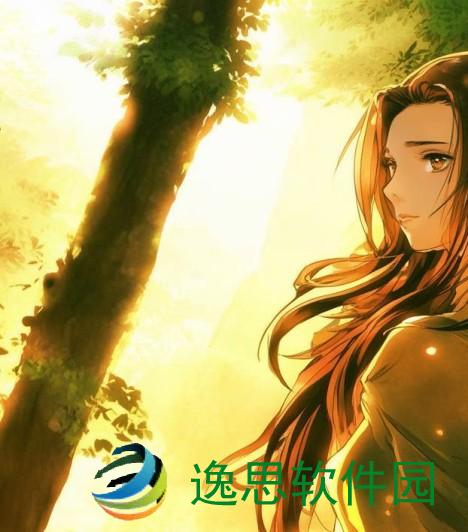 沉香一线与二线产区的定义及特点详解