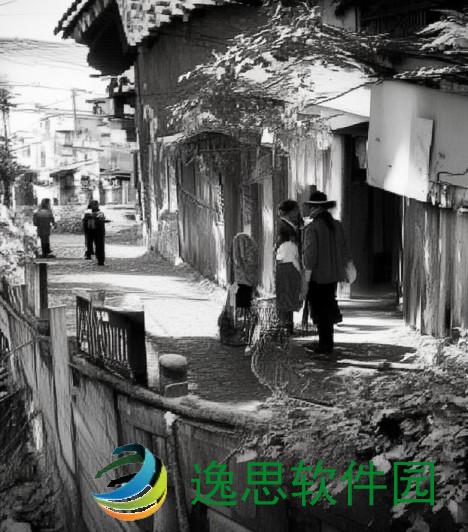 女生男生一起努力生猴子电视剧、一起奋斗共筑未来青春岁月中的爱情与梦想
