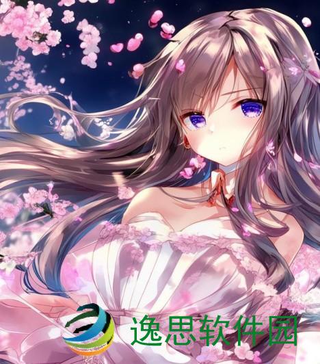 樱花动漫官方正版网址揭秘，畅享最优质动漫资源的必备指南