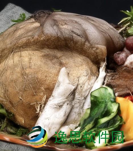 申鹤腿法娴熟脚法探秘 领略原神中的武学之美与技巧