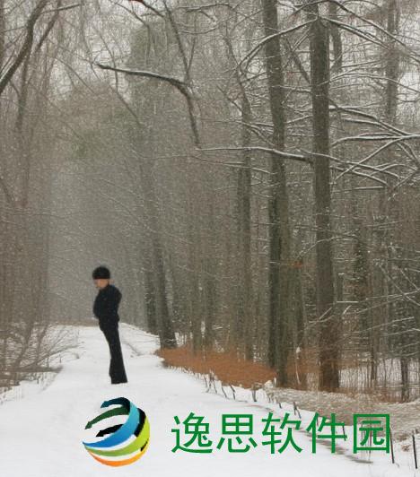 《导演的摄影课》,《导演的摄影课：探索镜头背后的艺术与故事》